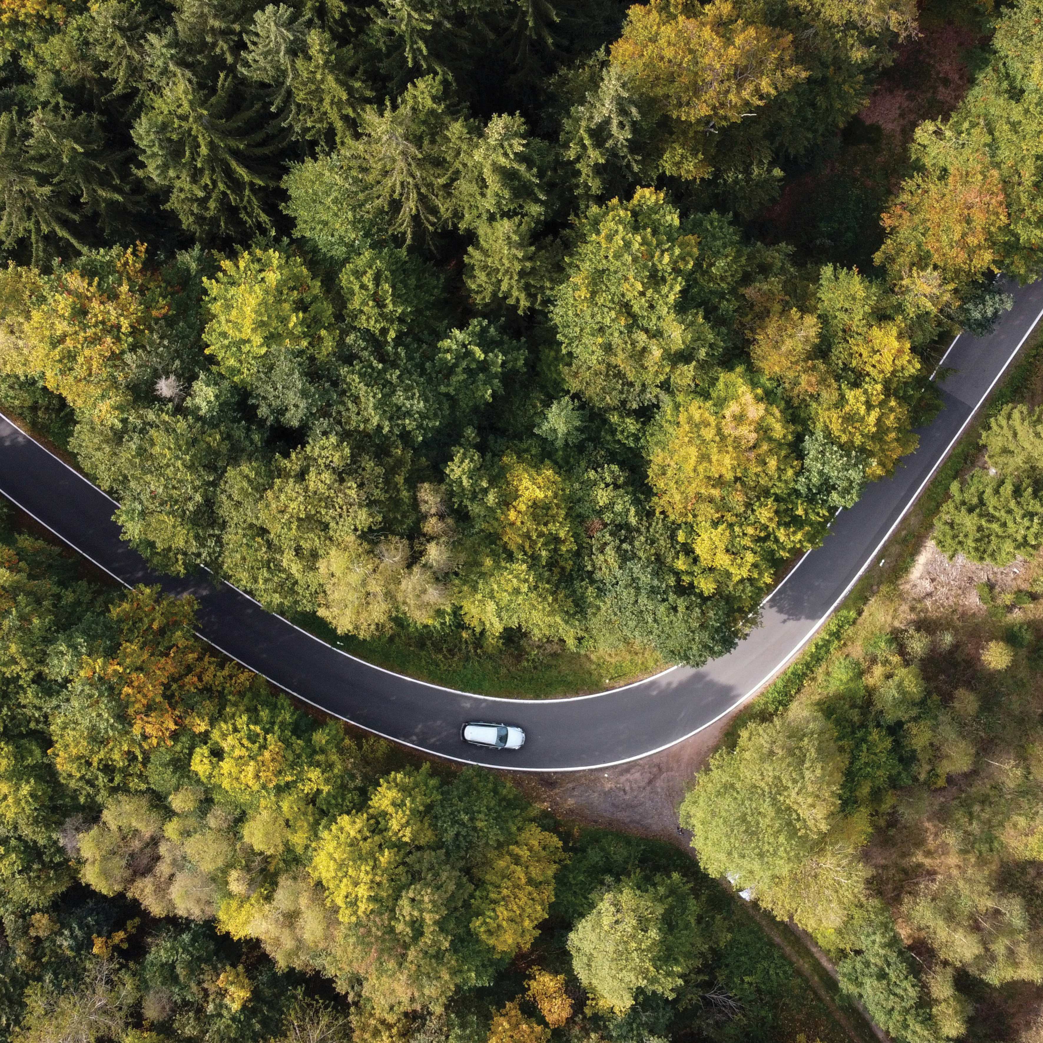 About Us Squares3.jpg